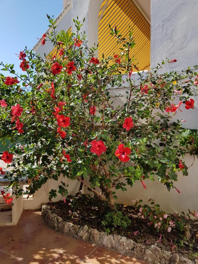 Deluxe Studio Athos 50 Mp Garden Patio Benalmadena Golf & Beach Exterior photo